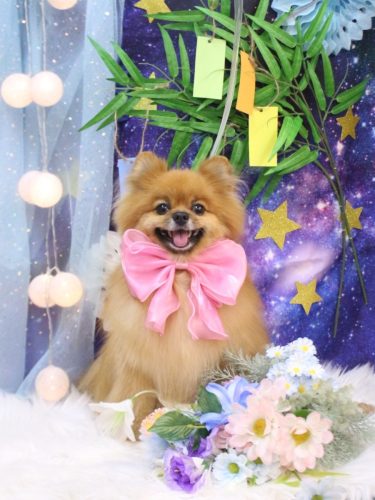 20250715ルルちゃん